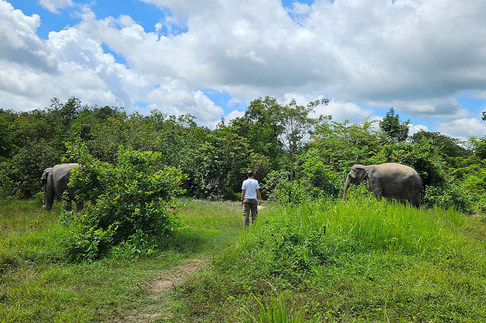 New era of travel