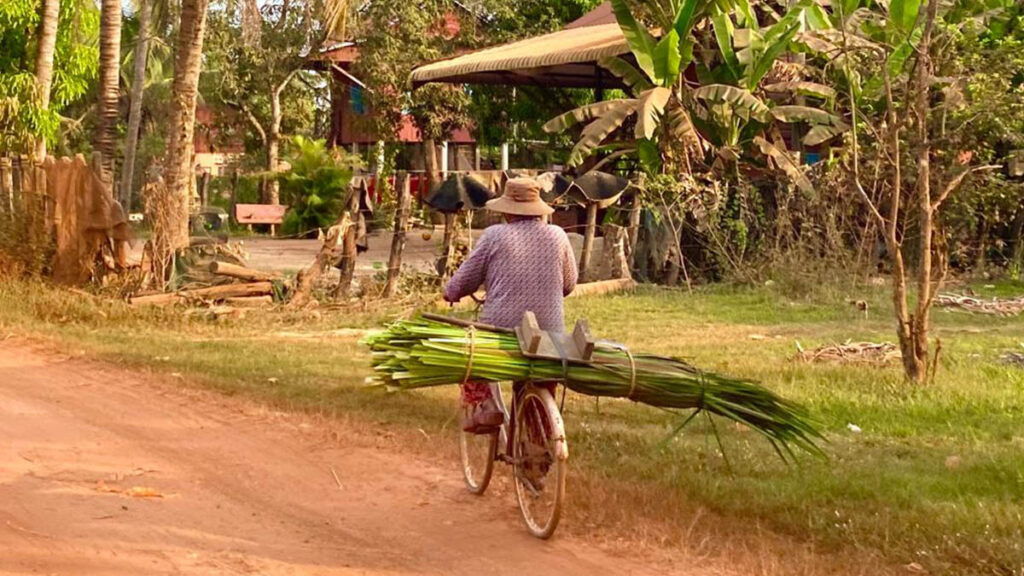 A resident cycling through a rural village near Siem Reap carrying freshly cut palm leaves along a dirt road lined with tropical vegetation